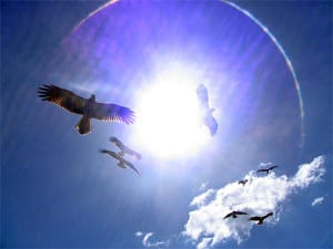 ce matin ce ciel et ces oiseaux