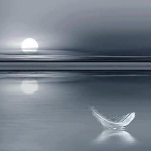 essence de vie
