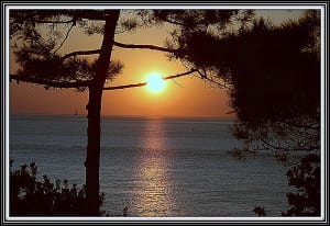 SAM_2565