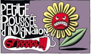indignation
