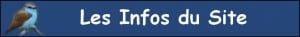 Infos du Site