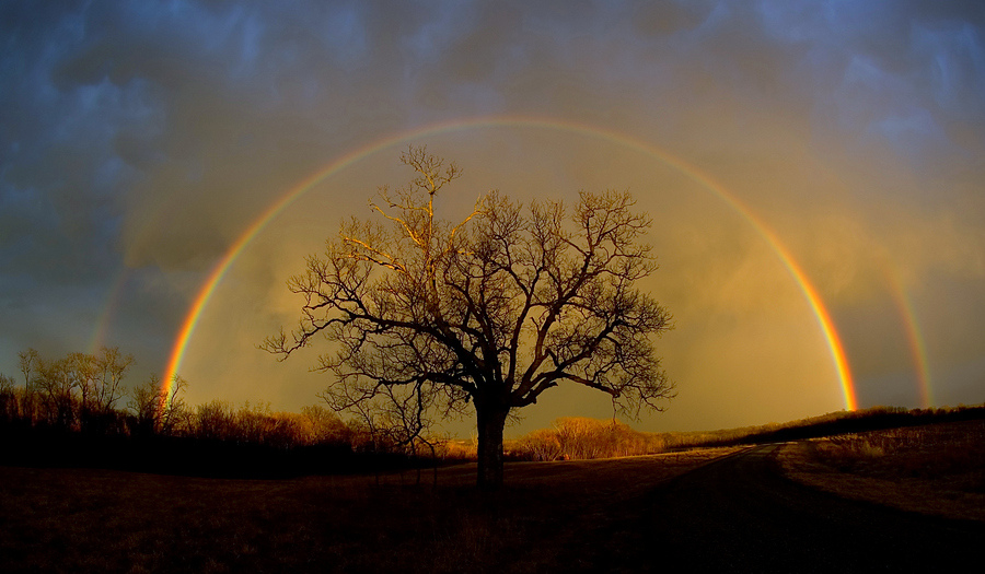rainbow_elam_3