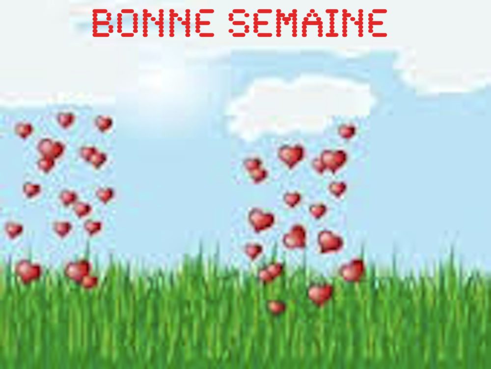 images (11)