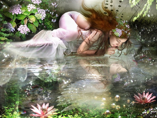 reflet11