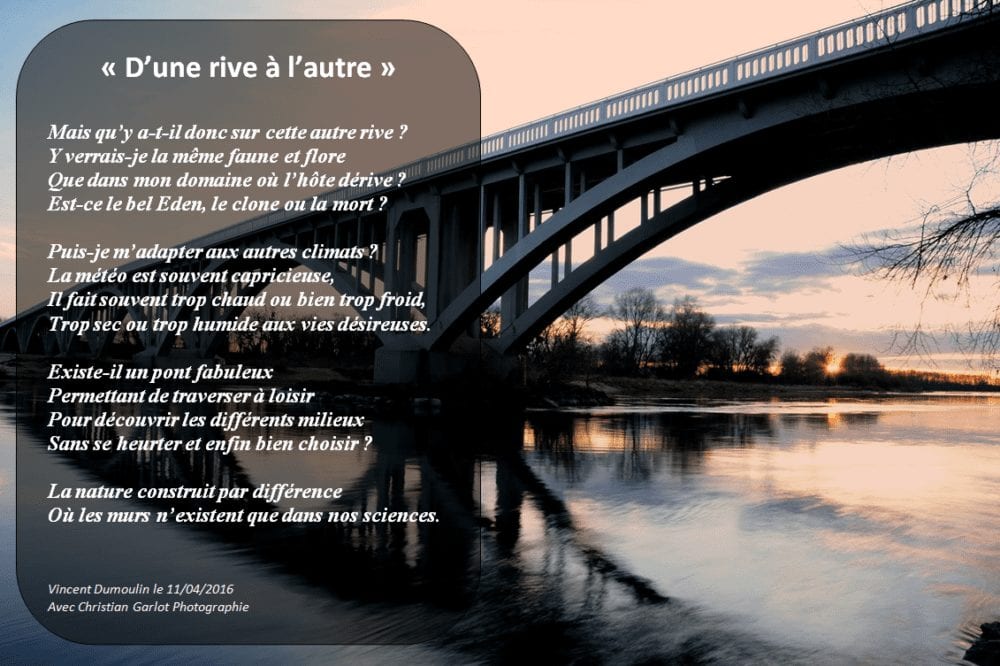 183 - D'une rive à l'autre