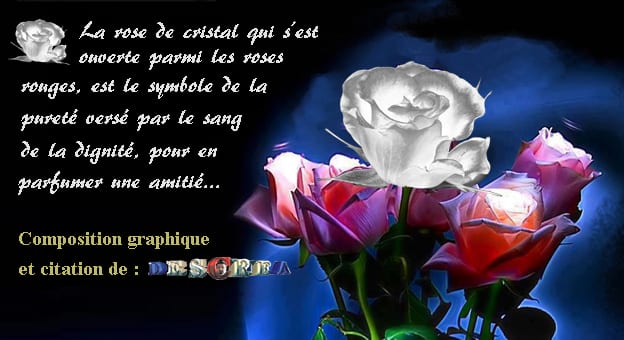 La rose de cristal