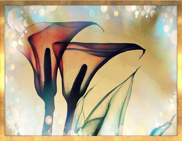 beauté florale