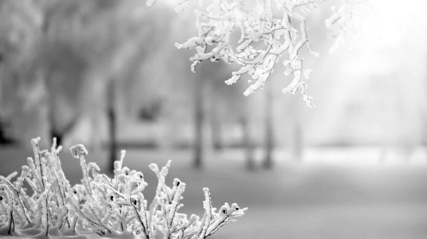 hiver 3