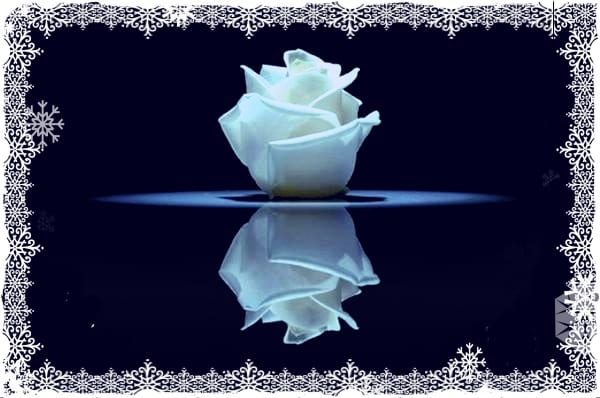 Fleur d'espoir