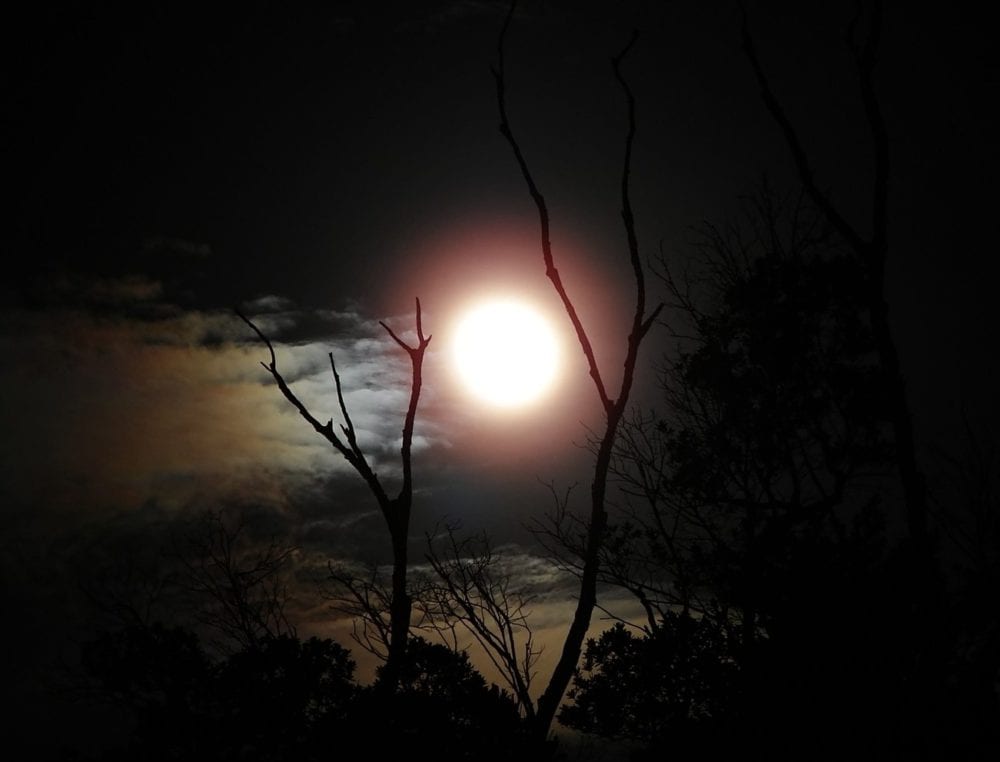 Nuit 2.