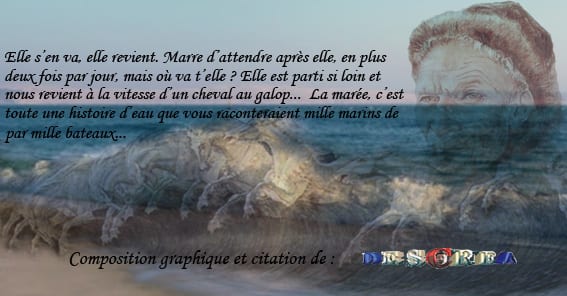 marée chevaux marin