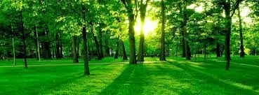 nature1