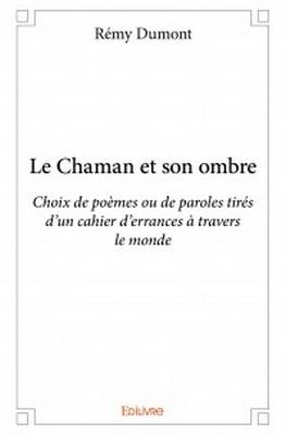 Le chaman et son ombre - Rémy Dumont