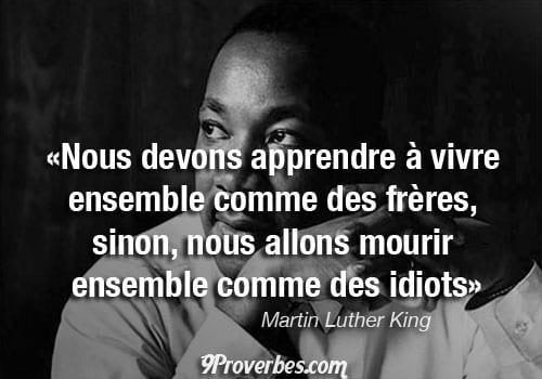 index-copie