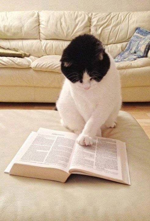 Le chant qui lit