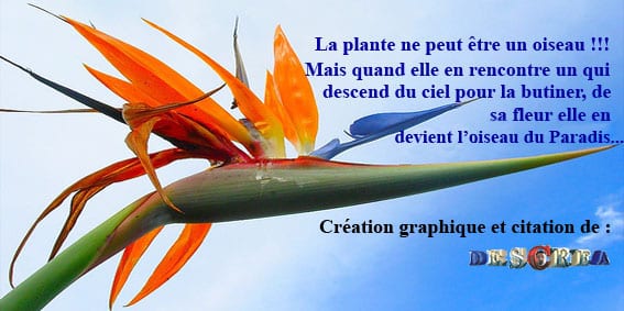 Citation De Descrea Pascal Desliens Plume De Poete