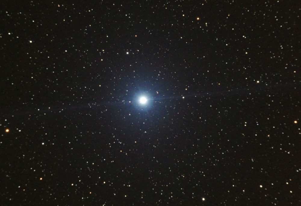 Vega_3868_mdl1_psp1_taille