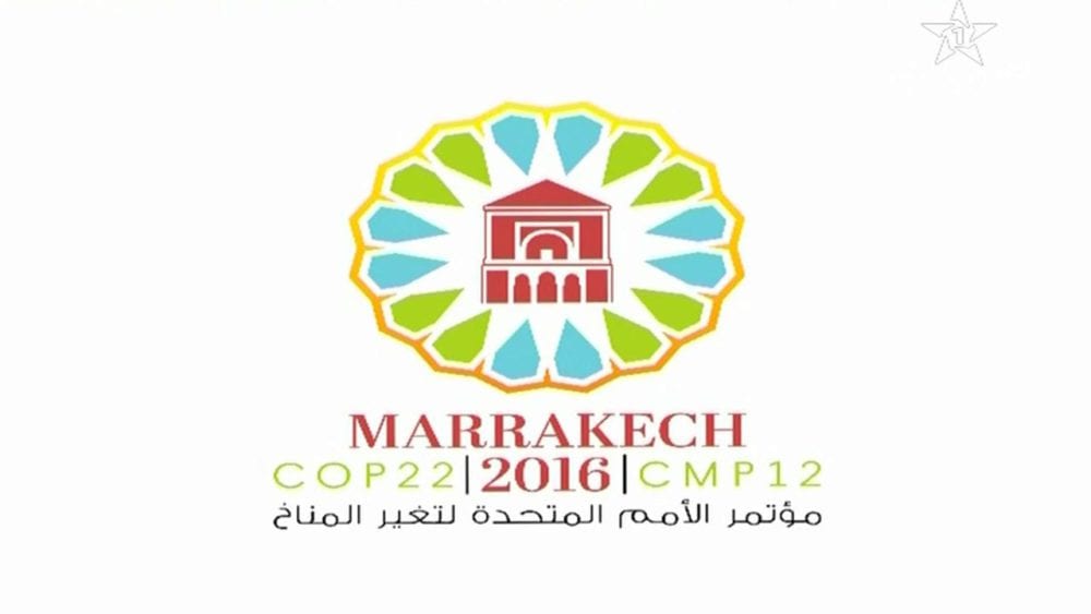 9903586-16046861