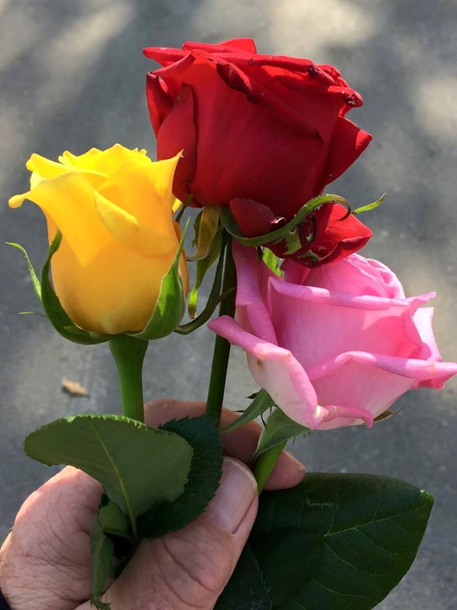 Cœur en joie : un bouquet de fleurs qui illumine l'âme - blog fleuristes-et- fleurs.com