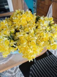 Ce bouquet de jonquille