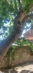 La permaculture – Hélène Lebougault