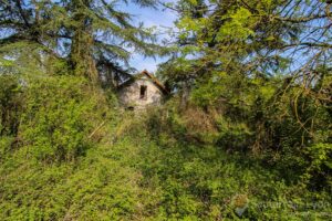 la petite maison perdue … Pascale jarmuzynski