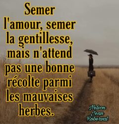 Semer pour mieux s’aimer – Hélène Lebougault