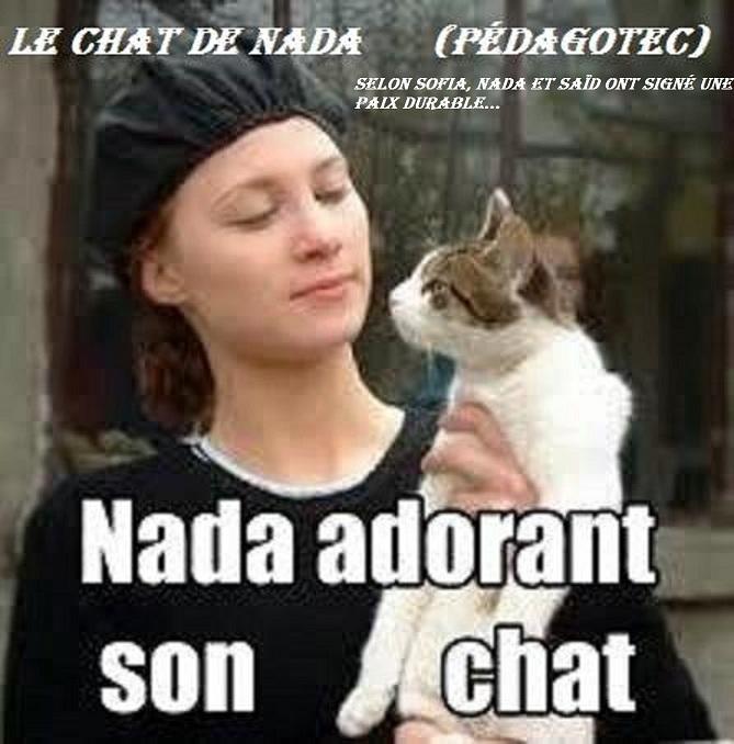 LE CHAT DE NADA
