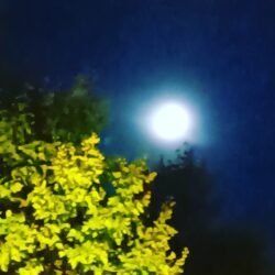 Minuit