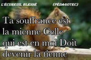 L’ÉCUREUIL BLESSÉ