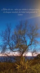 Arbre de vie – Hélène Lebougault