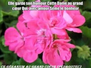 Cette Dame au grand cœur -Brahim Boumedien