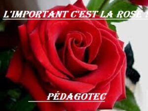 “L’important c’est la Rose” -Brahim Boumedien