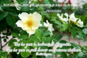 Mon journal, mon Ami ! -Brahim Boumedien