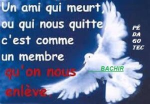 Un Ange au paradis ! -Brahim Boumedien