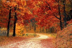 La fée Automne – Raymond Delattre