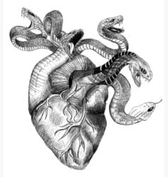 Un amour toxique