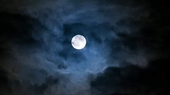 Nuit blanche