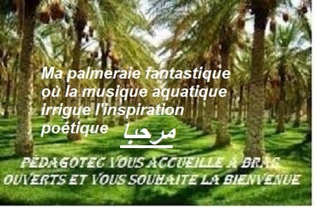 Ma question -Brahim Boumedien-