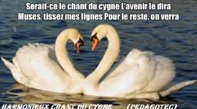 Harmonieux chant du cygne – Brahim Boumedien