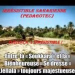 Irrésistible Saharienne -Brahim Boumedien