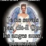 L’ Ange et le poète -Brahim Boumedien