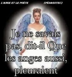 L’ Ange et le poète -Brahim Boumedien