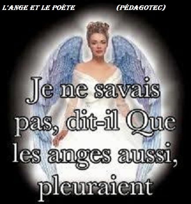 L’ Ange et le poète -Brahim Boumedien