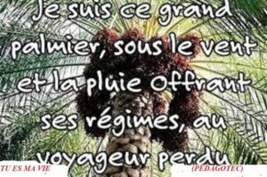 Tu es ma vie -Brahim Boumedien