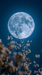 Sous le voile argenté du sommeil