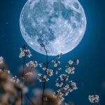 Sous le voile argenté du sommeil
