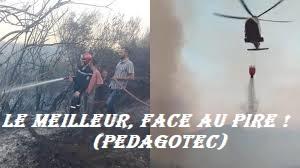 le-meilleur. face au pre...jpg