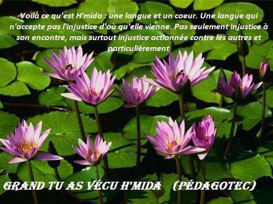 grand-tu-as-vecu-h-mida.jpg