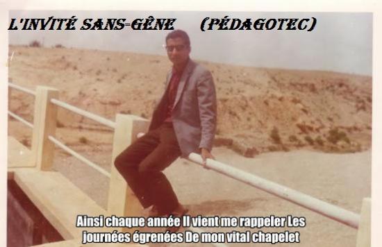 l-invite-sans-gene....jpg
